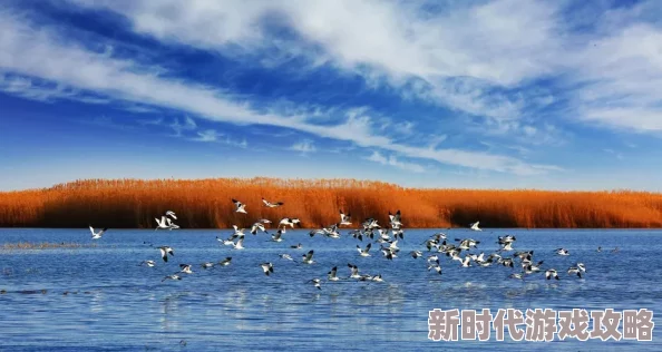 大咪咪网站日落七次每一次都是新的开始勇敢追梦迎接明天的阳光