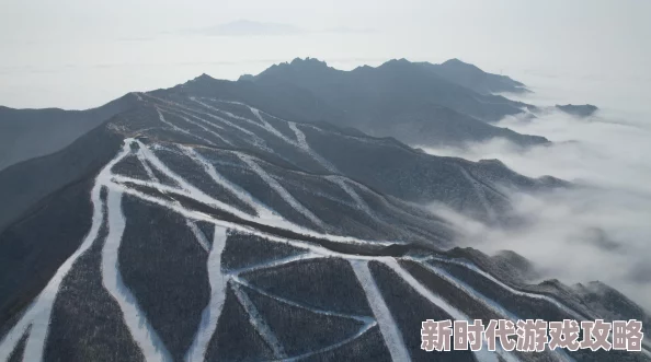 清除唯美第一区二区三区用户指南探索不同分区内容及功能设置