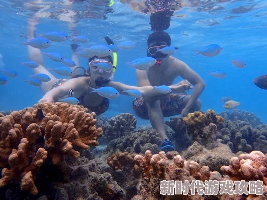 日出水了好爽潜水探险发现神秘洞穴收获满满惊喜连连