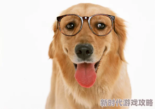 女人与狗交小说更新至第50章狗的品种是金毛 女人与狗交小说更新至第50章狗的品种是金毛