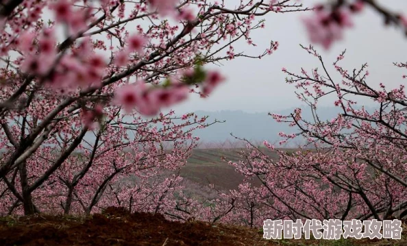 花漾app绽放美丽记录每个精彩瞬间