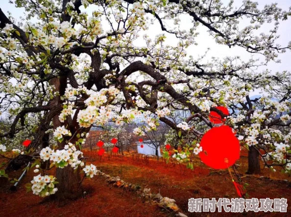 花漾app绽放美丽记录每个精彩瞬间