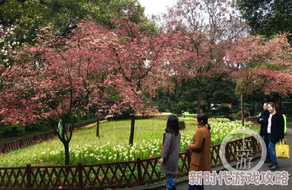 花漾app绽放美丽记录每个精彩瞬间