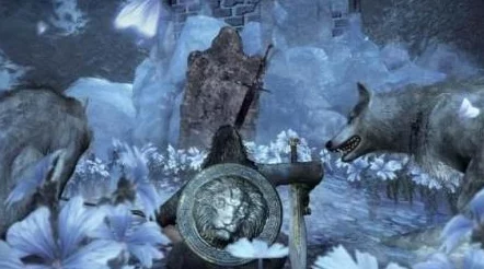 师兄们各个如虎似狼暗黑森林王墓疑云探索历史的奥秘激发我们对文化传承的热爱 师兄们各个如虎似狼暗黑森林王墓疑云探索历史的奥秘激发我们对文化传承的热爱