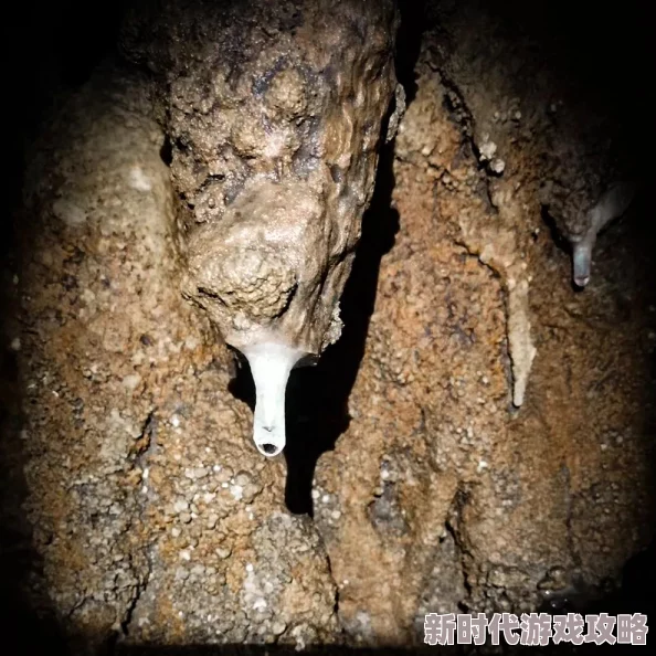 岳的下面好滑嫩探索神秘洞穴深处发现奇异发光植物