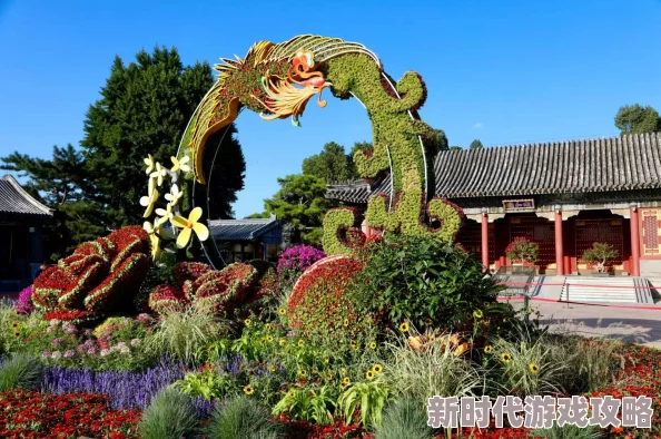 东宫小说婚姻罗曼史携手共进爱与理解成就美好未来