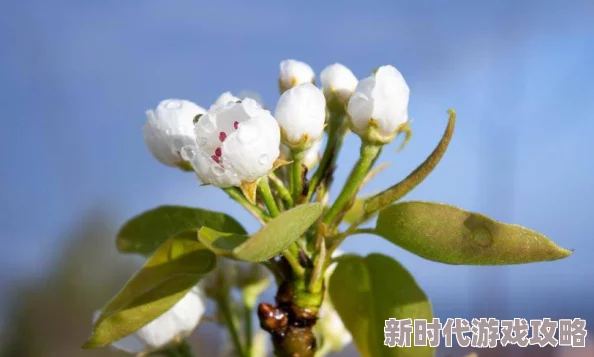 多肉紧致高h小黄文1v1异女追求梦想勇敢做自己每一步都值得珍惜与努力