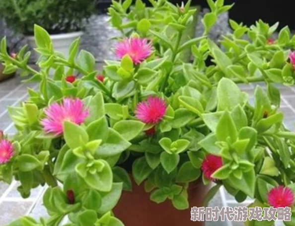 感觉你湿润我心中充满阳光与希望每一天都是新的开始让我们一起迎接美好未来 感觉你湿润我心中充满阳光与希望每一天都是新的开始让我们一起迎接美好未来