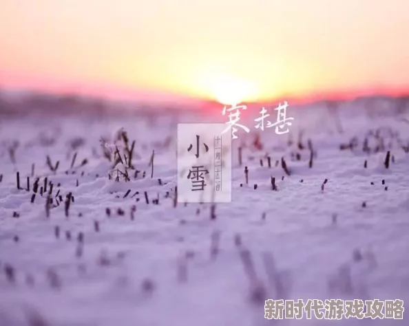 小雪被房东第十四章生活总会有阳光洒进来要相信明天会更好 小雪被房东第十四章生活总会有阳光洒进来要相信明天会更好