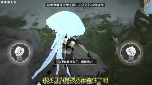 明日之后紫海刺水母最新钓点揭秘:夏尔镇大海及未来海岛地图垂钓指南 明日之后紫海刺水母最新钓点揭秘:夏尔镇大海及未来海岛地图垂钓指南