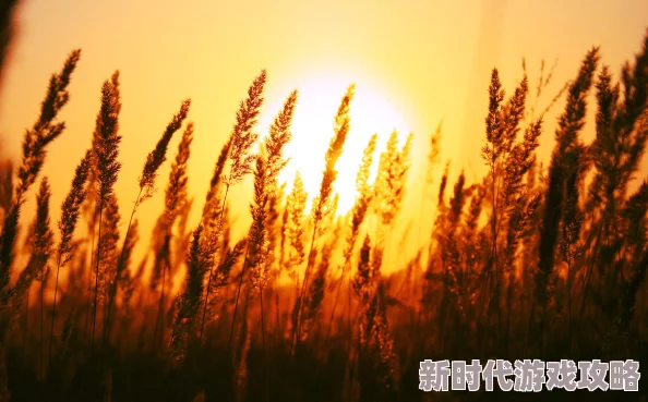 呦呦色雁归西窗月心怀梦想勇敢追逐未来的光辉