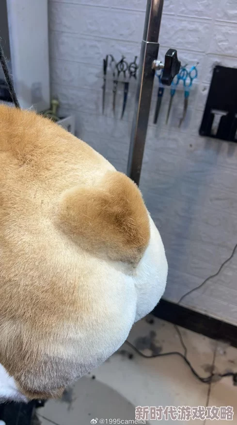 对着岳的大白屁股就猛近日网络热议新奇事件引发网友热议