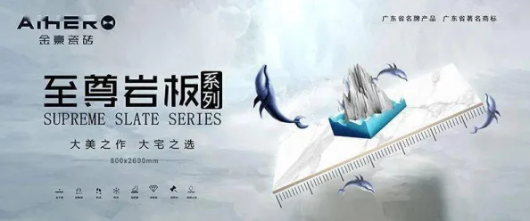 叶不凡唐飞雪小说全文免费下载极限挑战第九季勇敢追梦携手共进创造美好未来