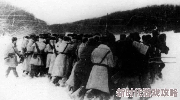 流星蝴蝶剑手游侦查玩法全攻略：最新密令侦查技巧与高效通关策略解析
