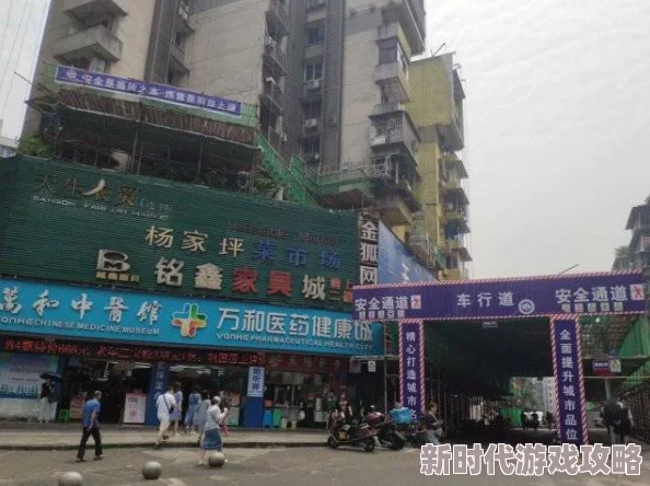 善良的小姨作者闪婚老公为何那样积极面对生活才能收获幸福与成长
