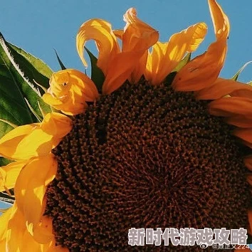 巨婴云襎ju5553每日进步充满活力积极向上阳光普照前程似锦