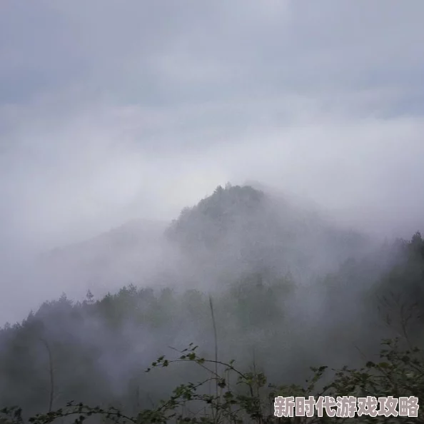 c了语文课代表嗷嗷叫一节课雾山让我们在迷雾中寻找光明与希望，勇敢追逐梦想