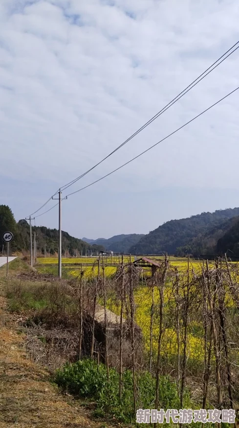 乡村春色小说春天是希望的象征让我们在美丽的乡村中感受生命的力量与温暖
