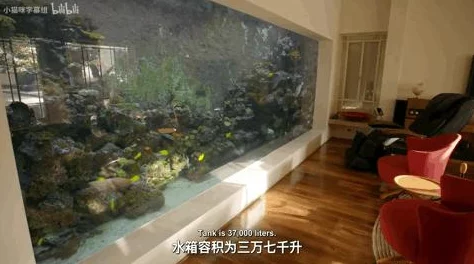 开心水族箱挂宝方法详解及最新有效挂宝技巧与进展消息
