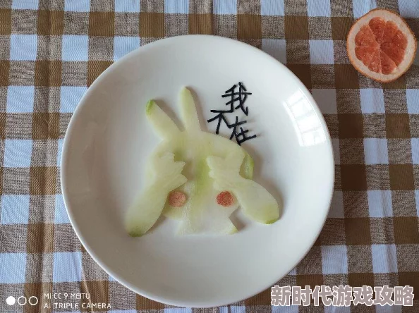 明日之后水饺作用与属性全面解析：最新食谱及暖身效果详解