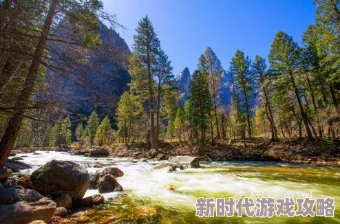 龙珠最强之战：元气印记作用解析及最新获取方法途径大全