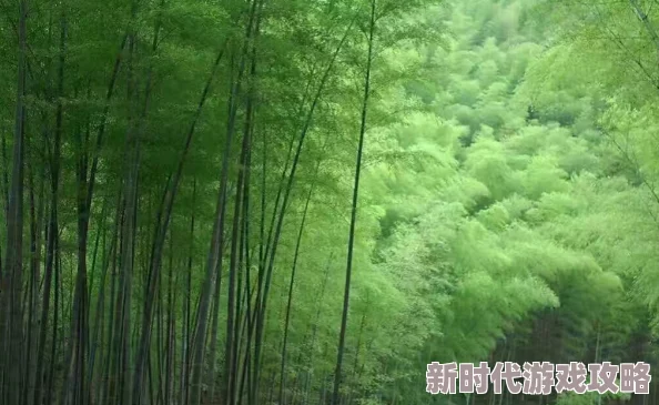 草草操据传练习此功法者曾因姿势奇特引发路人围观造成交通拥堵