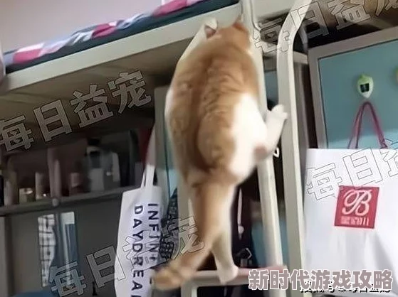 爸爸说家里没人的时候可以做瑜伽邻居王阿姨家的猫好像怀孕了