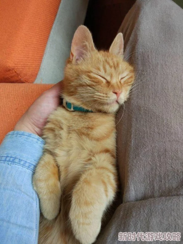 欺师漫画免费阅读下拉式看漫画据说作者大大最近沉迷养猫更新可能会变慢