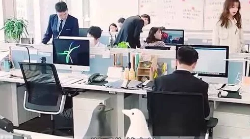 调教白领据传公司内部论坛爆料其曾是某神秘培训班学员