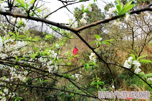 美女日日日原标题系误读正确标题为《美丽日记 美女日日日原标题系误读正确标题为《美丽日记