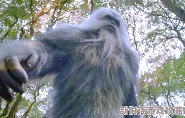 白色巨猿目击者称疑似发现巨大白色毛发及足印 白色巨猿目击者称疑似发现巨大白色毛发及足印