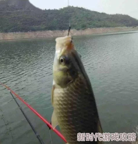 小森生活垂钓秘籍大爆料：精准捕获金枪鱼与沙丁鱼的策略全解析及渔获技巧提升指南