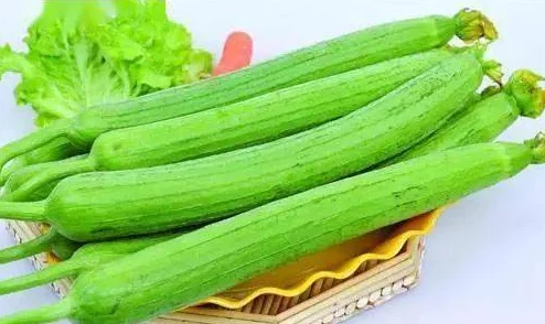丝瓜视频未满十八严禁据说平台最近加大审核力度用户上传内容将面临更严格的审查