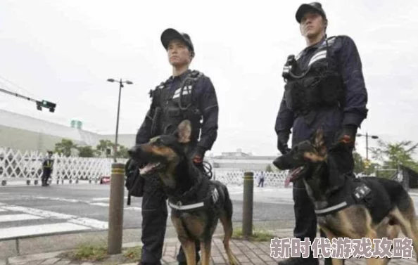 DNF女弹药与手枪职业深度对比：哪个更适合你的游戏风格？