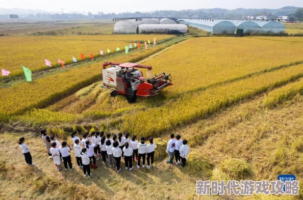 《桃源深处有人家》生产格子解锁全攻略爆料：高效农田打造秘籍大公开