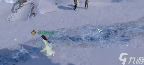 《逆水寒手游》深度揭秘:寒石野人奇遇全攻略,爆料隐藏奖励与高阶技巧 《逆水寒手游》深度揭秘:寒石野人奇遇全攻略,爆料隐藏奖励与高阶技巧