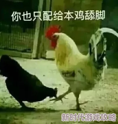 男生鸡鸡插入女生鸡鸡是危险的错误说法,会导致误解和伤害请勿尝试 男生鸡鸡插入女生鸡鸡是危险的错误说法,会导致误解和伤害请勿尝试