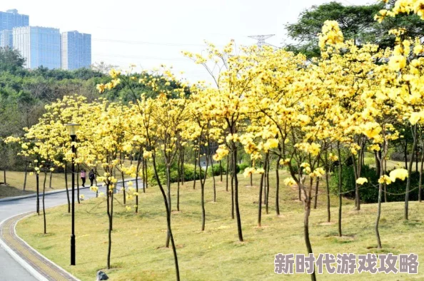 黄色生活片危害身心健康传播不良信息误导青少年