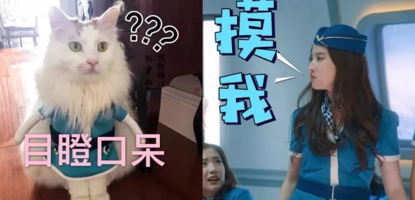 美村妇真湿夹得我好爽原标题曝光引网友热议道德与法律的边界