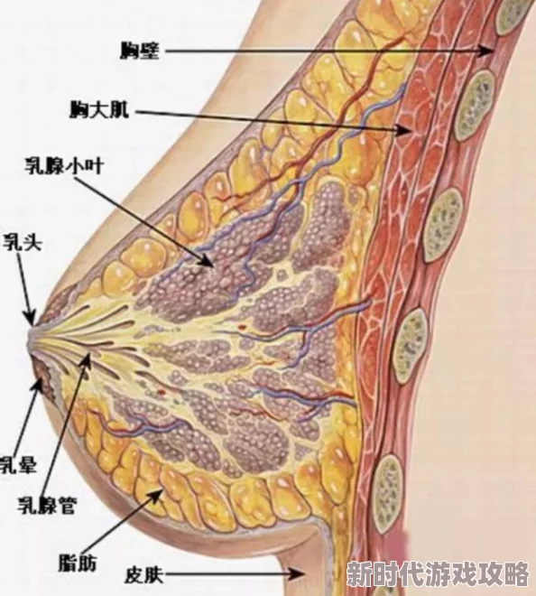 撕开老师胸罩吃她大乳画面优化及部分BUG修复