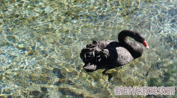 河马的秘密河文轩器材室惊现大量过期药品和不明用途器械