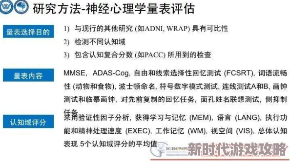 中国boy大基佬该群体文化现象及其社会认知的演变与影响