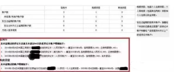 独家揭秘！《上海银行》还款记录查看全攻略，一键洞悉个人信用评分内幕