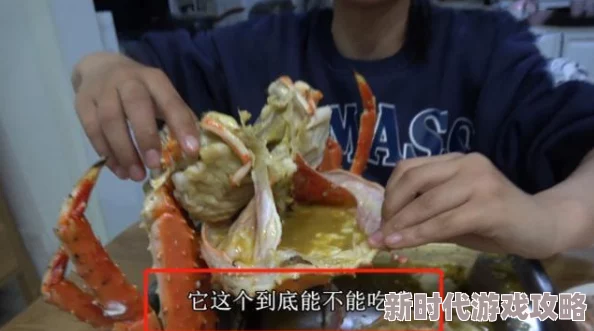 认真的胡闹蟹总含肉完整探讨网络迷因传播与亚文化群体认同构建