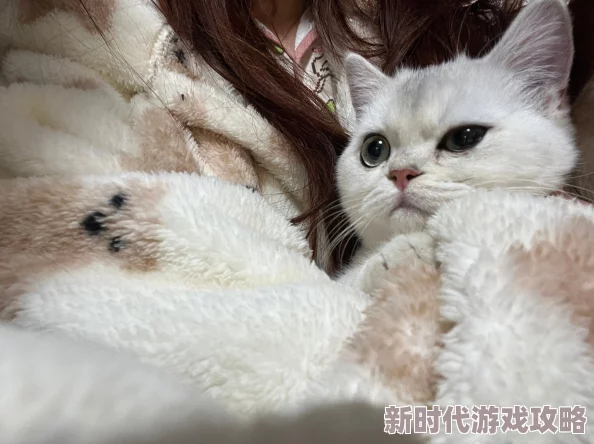 隔壁邻居是个漂亮的小姐姐听说最近养了只可爱的布偶猫 隔壁邻居是个漂亮的小姐姐听说最近养了只可爱的布偶猫