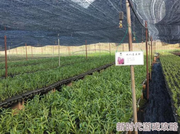 蜻蜓手游网探索无限精彩手游世界发现最新最热游戏资讯 蜻蜓手游网探索无限精彩手游世界发现最新最热游戏资讯