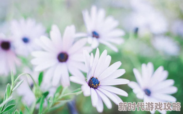 久久久久久久性虚假宣传夸大功效欺骗消费者谨防上当