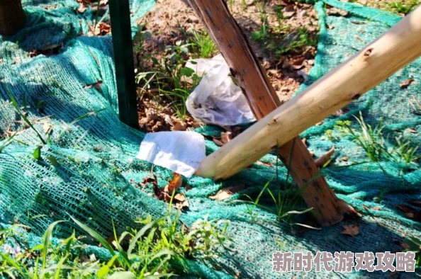 竹篱笆外的春天野草疯长，垃圾遍地，蚊虫肆虐，令人望而却步