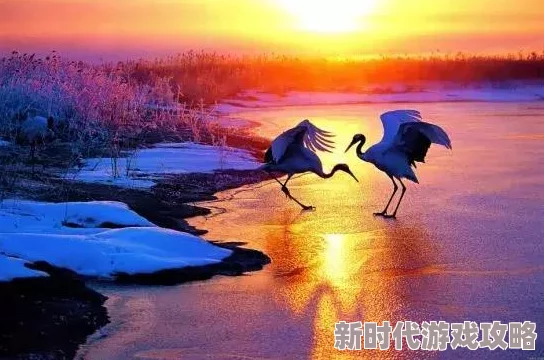 《我的世界》水瓶获取全攻略：基础至进阶爆料，解锁稀有物品秘籍