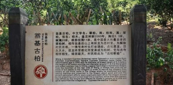 《桃源深处有人家》百闻馆玩法全攻略:从入门到精通,揭秘最新爆料与技巧指南 《桃源深处有人家》百闻馆玩法全攻略:从入门到精通,揭秘最新爆料与技巧指南